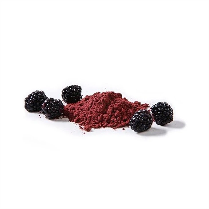 China freeze dry blackberries factory